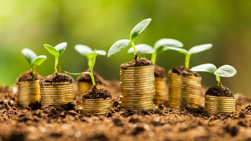 為什么農(nóng)產(chǎn)品電商帶貨開(kāi)始崛起-短視頻營(yíng)銷(xiāo)