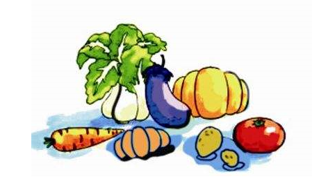 農(nóng)產(chǎn)品短視頻營(yíng)銷