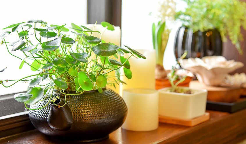 加入電商代運(yùn)營(yíng)的原因是