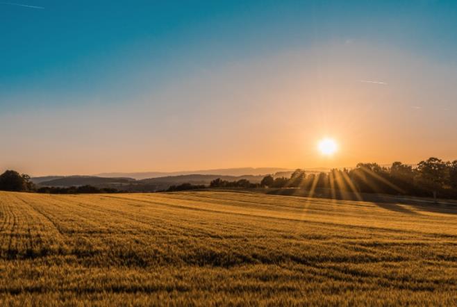 上海短視頻代運營公司如何構建私域流量 上海短視頻代運營公司如何構建私域流量