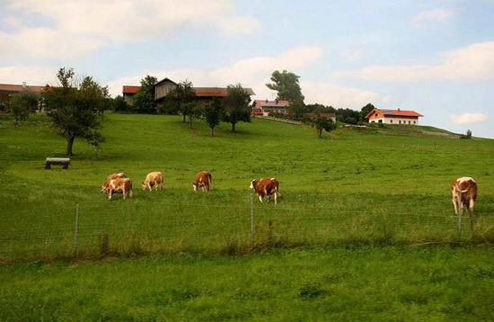 要想做好農(nóng)業(yè)品牌定位：這三大要素不能缺少！