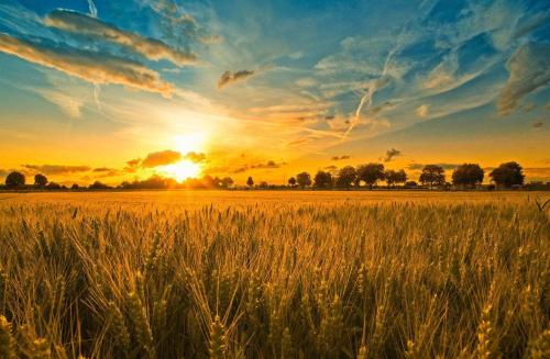 品牌定位，農(nóng)業(yè)品牌定位