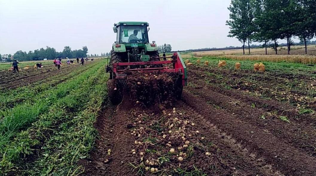 農(nóng)業(yè)品牌策劃 農(nóng)業(yè)品牌策劃