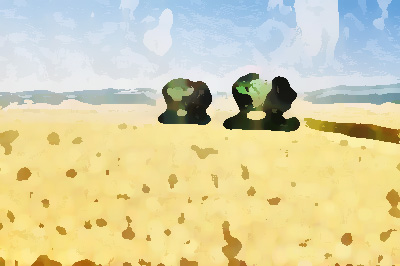 農(nóng)業(yè)公司品牌形象提升，實現(xiàn)農(nóng)業(yè)增效、農(nóng)民增收