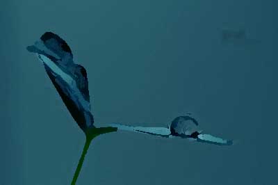 餐飲品牌設計的突破點有哪些？