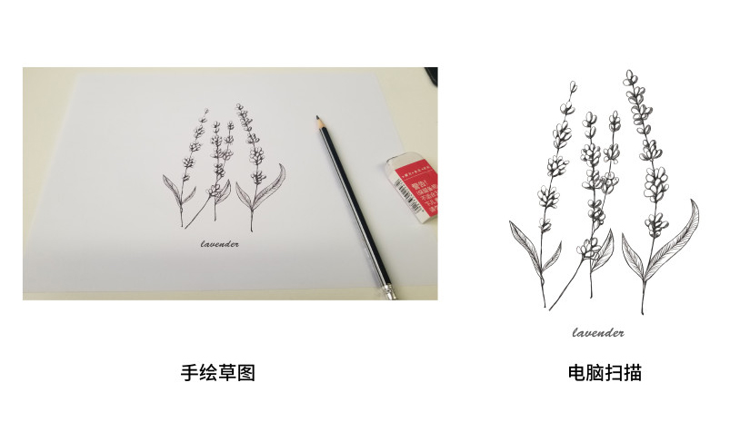 精油品牌logo設(shè)計