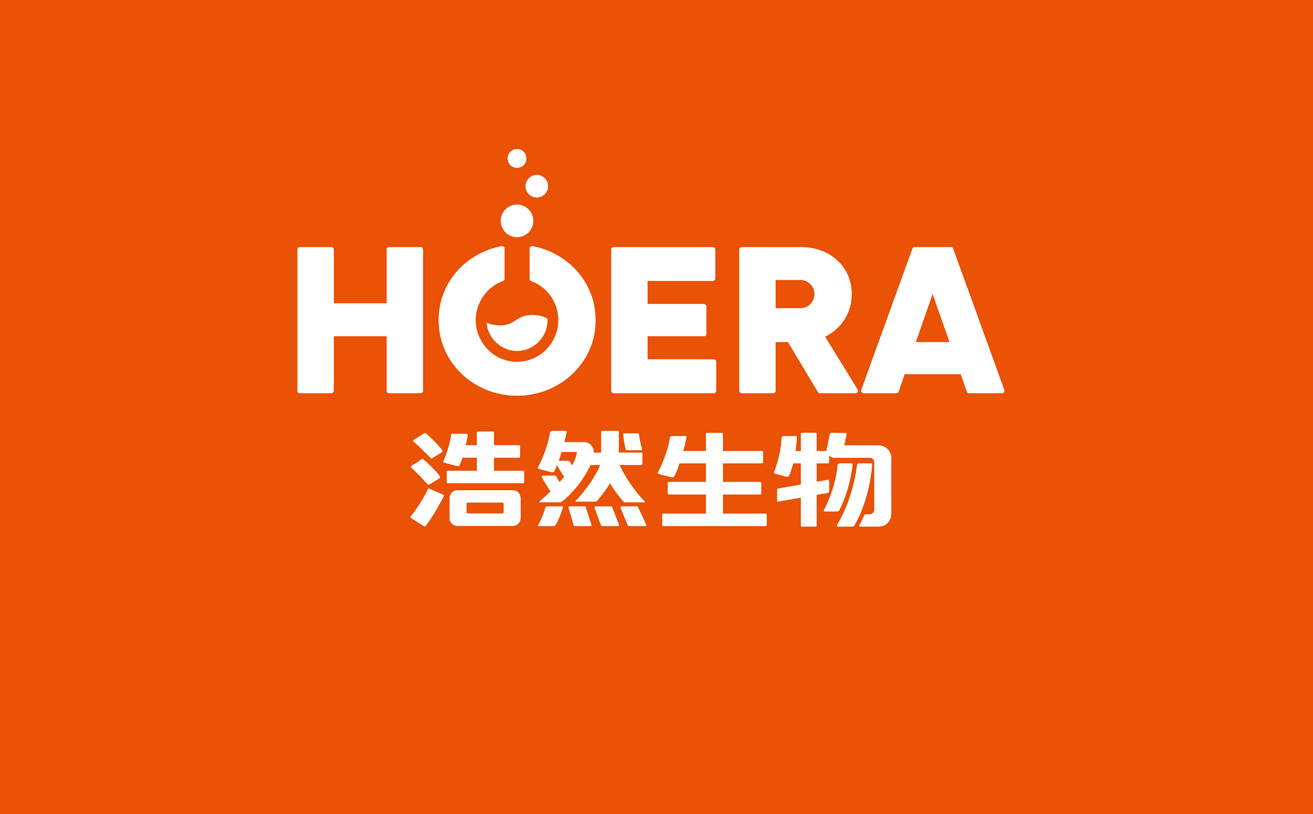 補(bǔ)補(bǔ)吧品牌策劃品牌設(shè)計