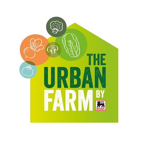 一套時尚的農(nóng)業(yè)品牌設計，設計簡潔明了，用色鮮明，讓人看了過目不忘，值得搞農(nóng)業(yè)品牌朋友學習交流。