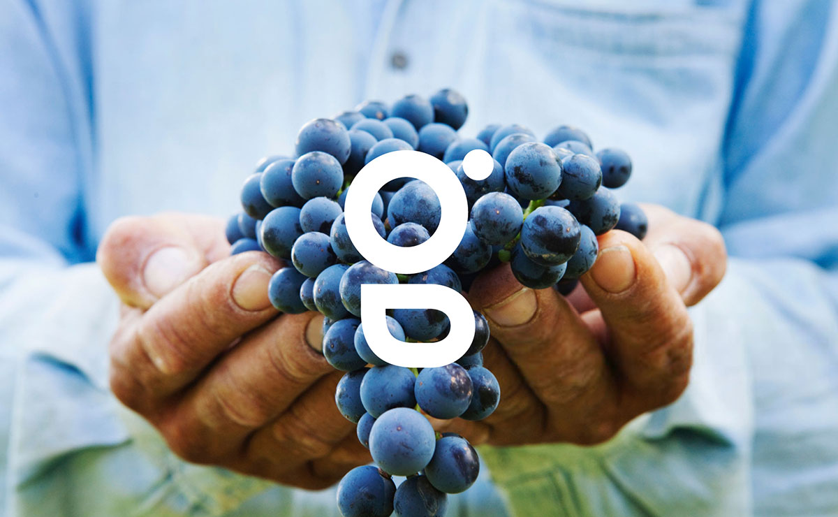 農(nóng)業(yè)品牌設(shè)計