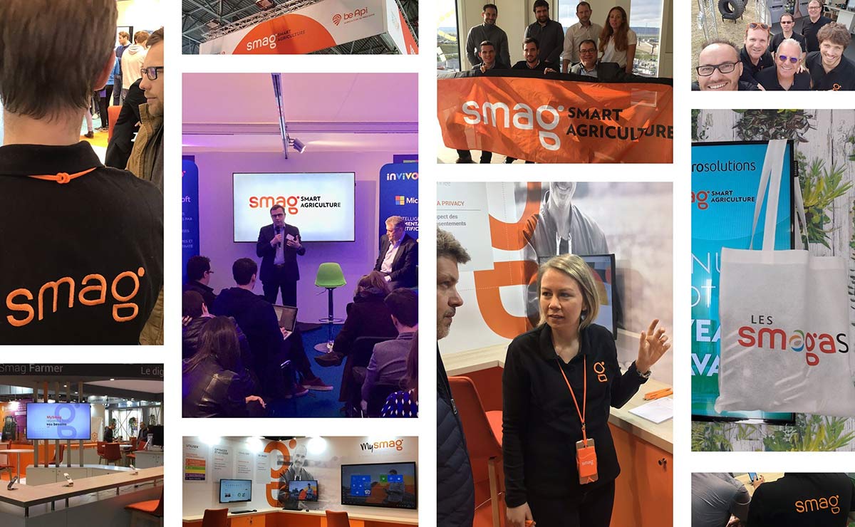 農(nóng)業(yè)品牌設(shè)計