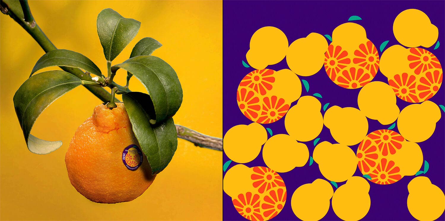 水果品牌設(shè)計