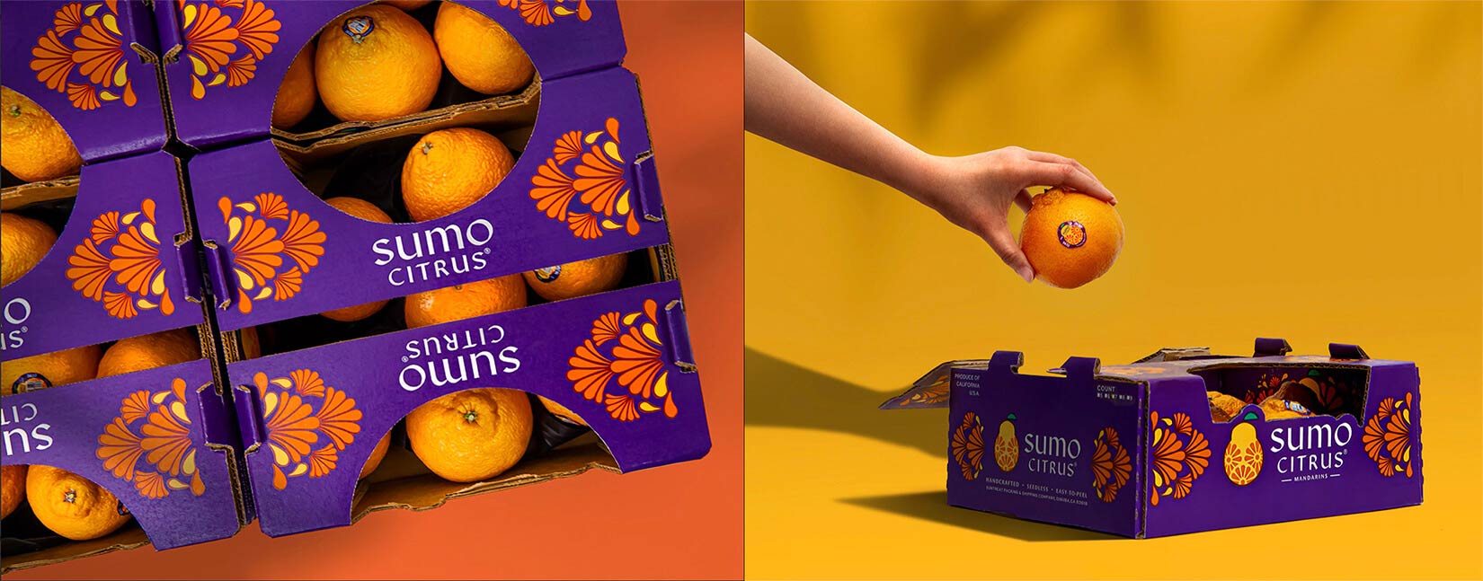 水果品牌設(shè)計