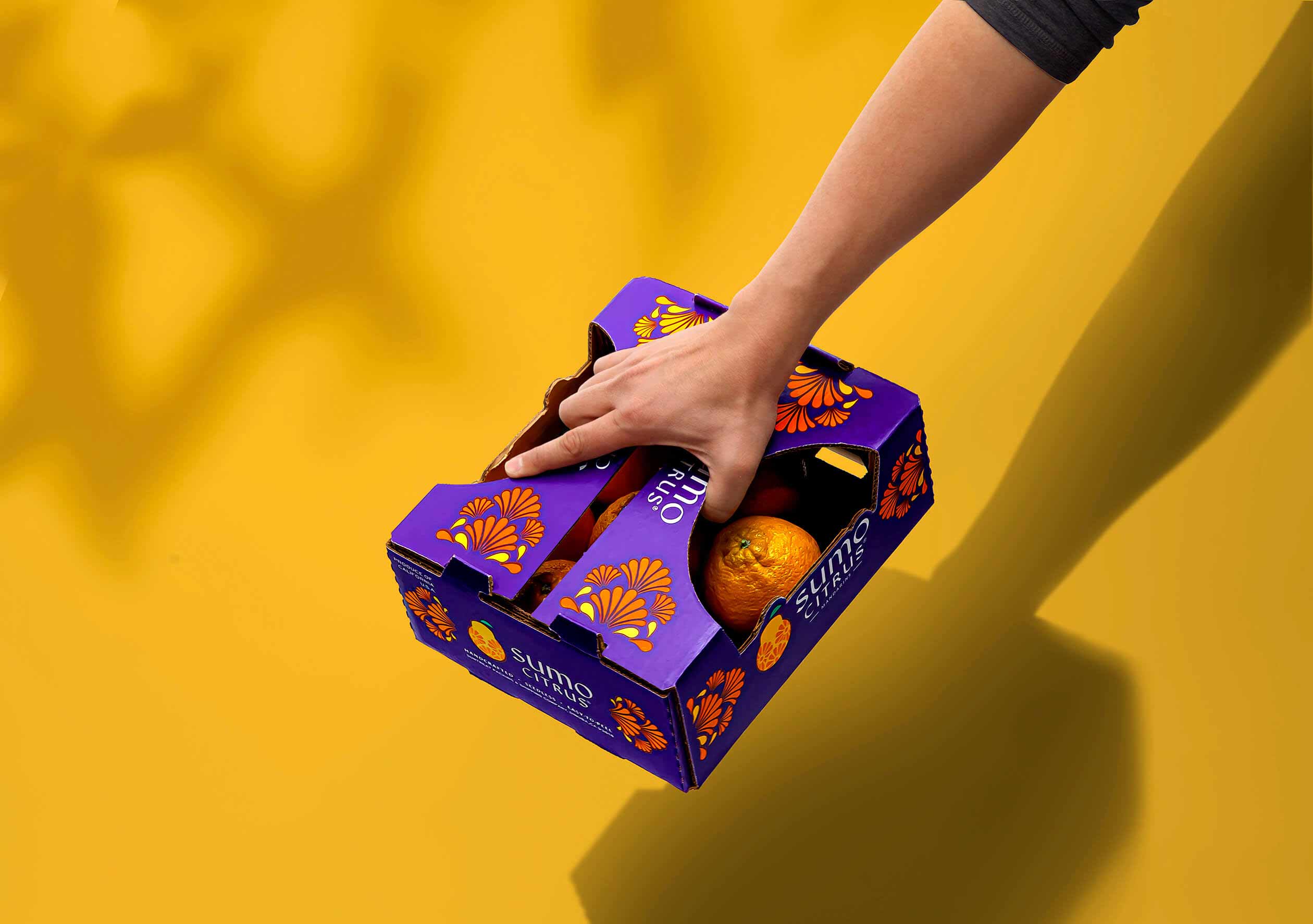 水果品牌設(shè)計