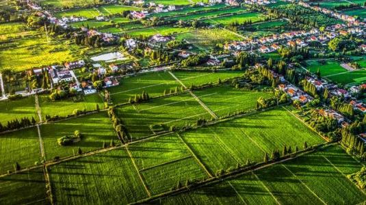 如何做好農(nóng)業(yè)形象升級？