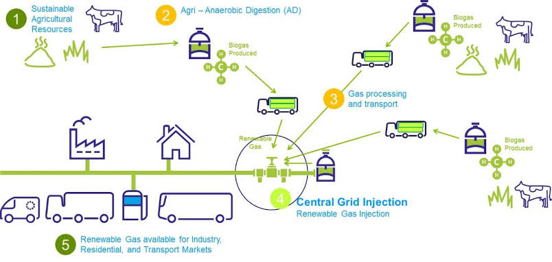 家庭農場創(chuàng)業(yè)計劃書