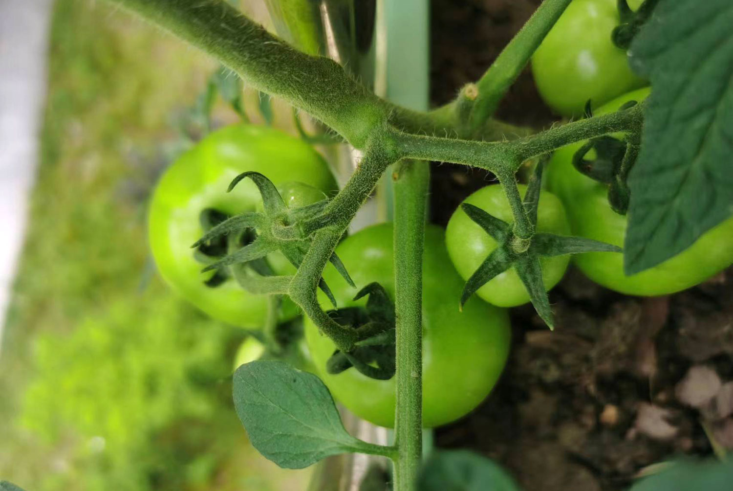 農(nóng)產(chǎn)品公司如何策劃有競(jìng)爭(zhēng)力的品牌定位