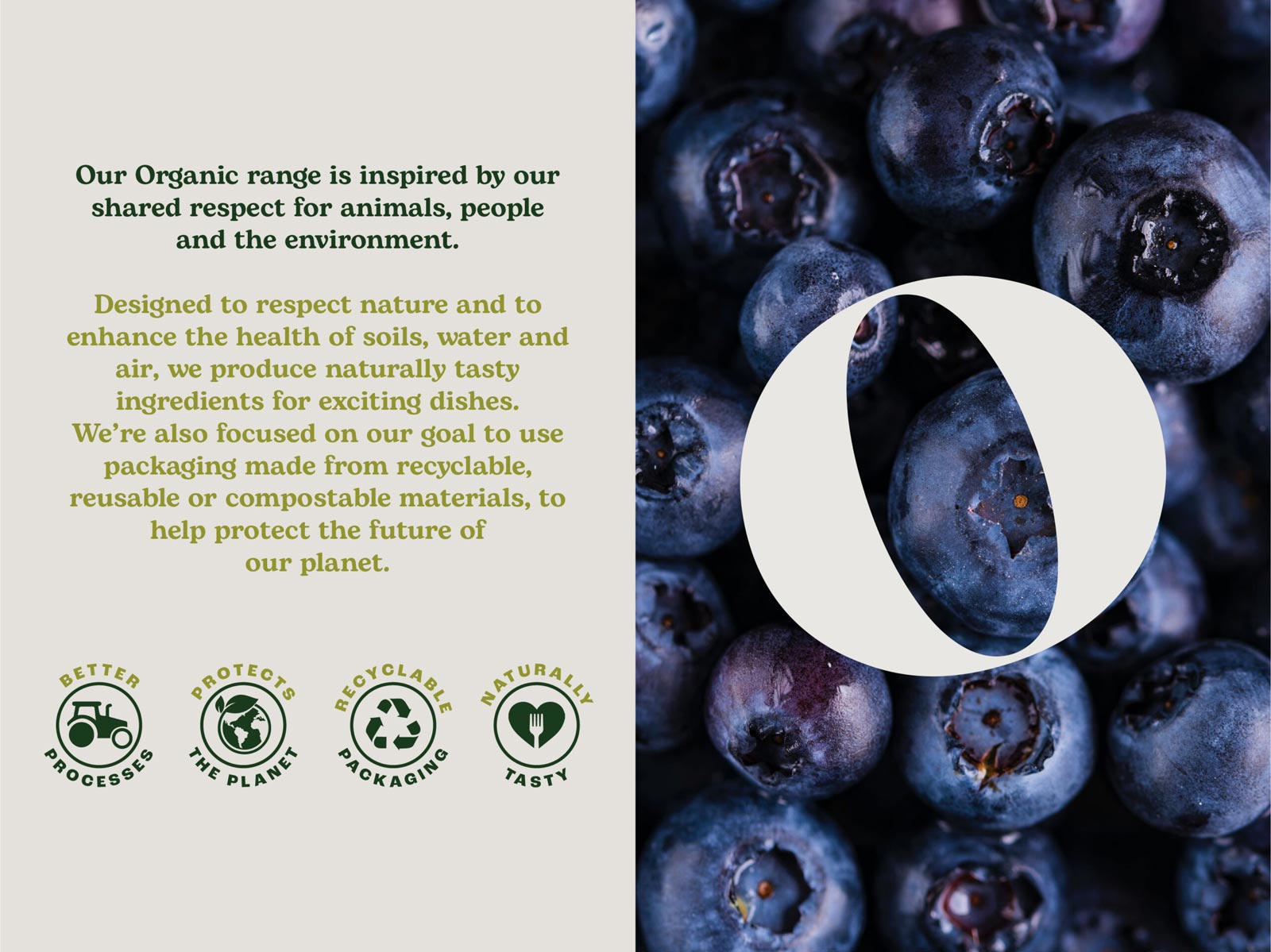 農(nóng)業(yè)品牌設(shè)計(jì)